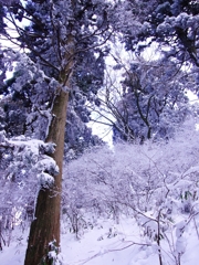 金剛山の雪景色３