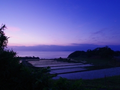 丹後半島の棚田５