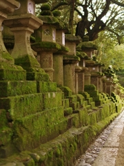 古都奈良の風景６