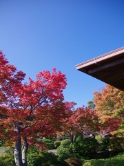 神戸須磨離宮公園の和室１