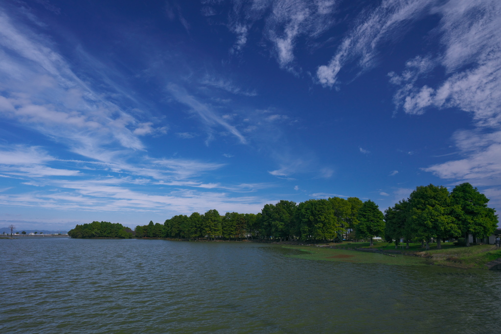 晩秋の天満大池公園１