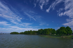 晩秋の天満大池公園１