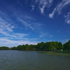 晩秋の天満大池公園１