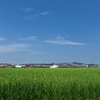 夏空と田圃と２