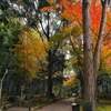 竹の寺地蔵院（じぞういん）１