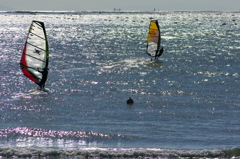 ウインドサーフィン（屏風ヶ浦海岸）