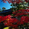 好古園（こうこえん）にて（紅葉）２