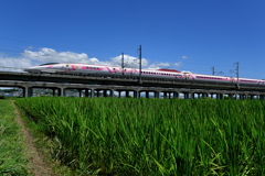 夏空を行くハローキティ新幹線