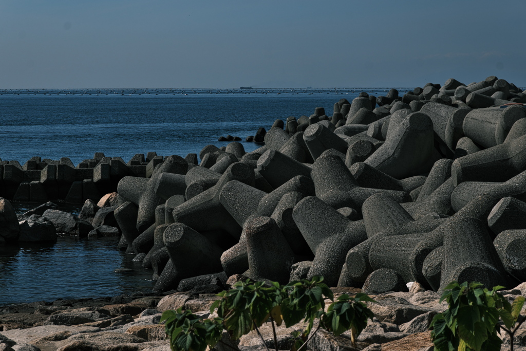 播磨灘の波消しブロック２