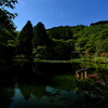 榛原鳥見山公園にて２