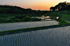 石田の棚田１