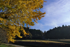 京都南丹の里山の風景２