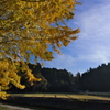 京都南丹の里山の風景２