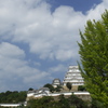 白鷺城（はくろじょう）３