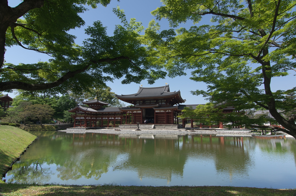 宇治平等院鳳凰堂