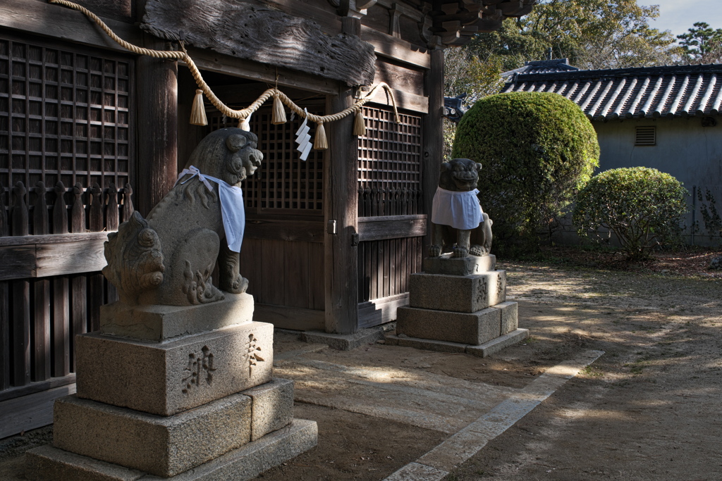 大晦日の住吉神社（狛犬）