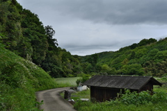 藍那（あいな）の里山１