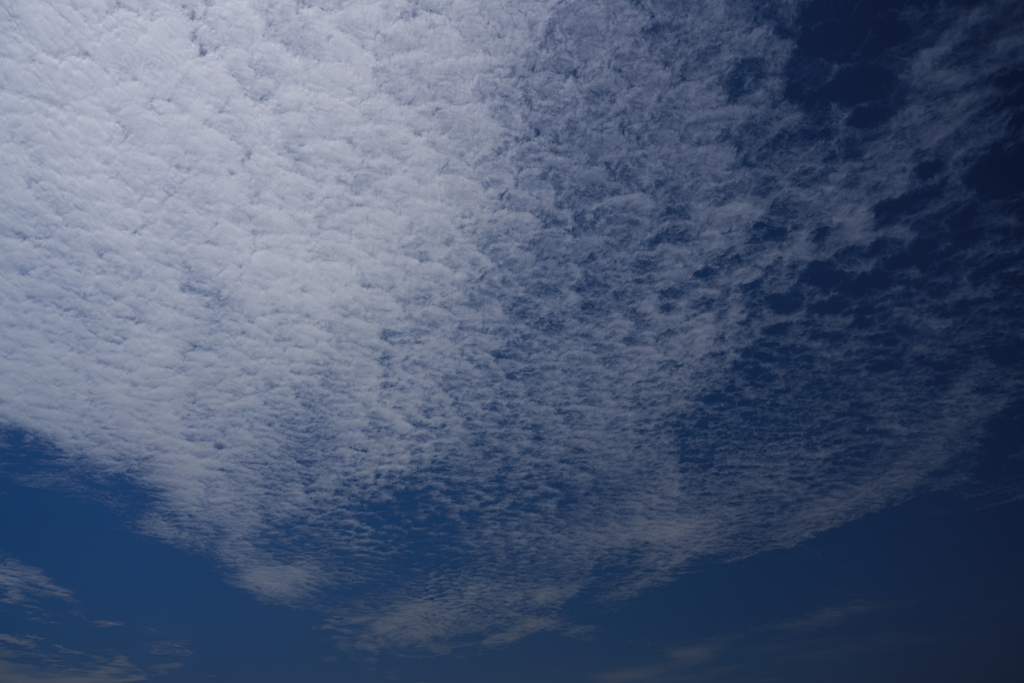 秋の雲