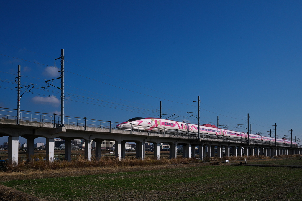 ５００系新幹線ハローキティ１