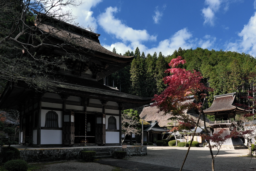 丹波古刹の紅葉９慧日寺（えにちじ）