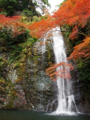 箕面公園の紅葉３（箕面大滝）