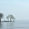 琵琶湖の点景２