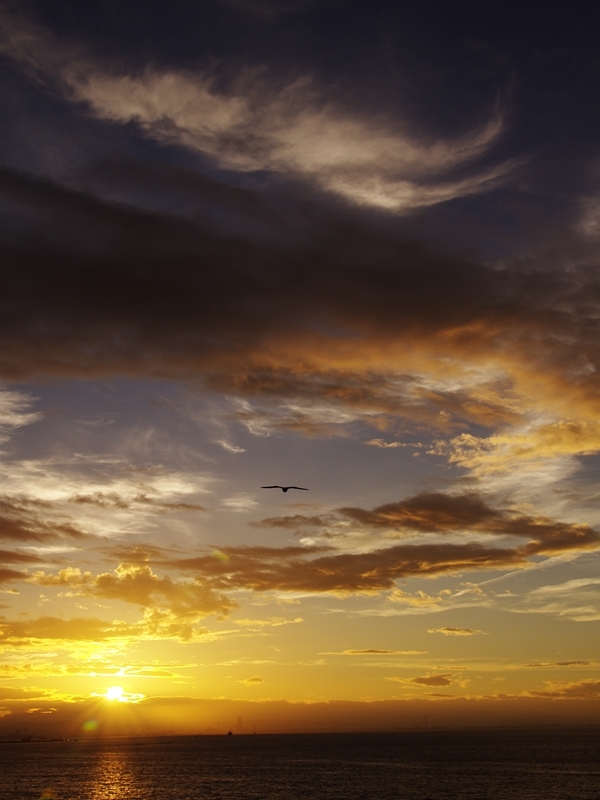みなと神戸の夜明け５