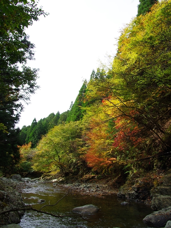 深まりゆく秋１０（福知渓谷の紅葉）