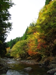 深まりゆく秋１０（福知渓谷の紅葉）