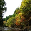 深まりゆく秋１０（福知渓谷の紅葉）