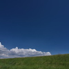 土手の上の雲