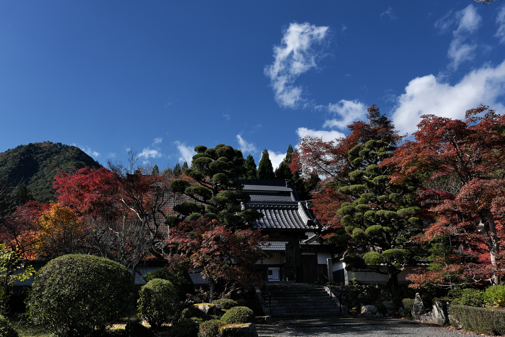 丹波古刹の紅葉７三寳寺（さんぼうじ）