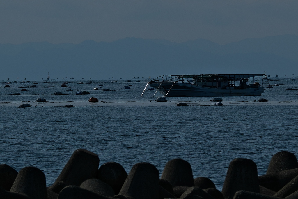 海苔の刈取（もぐり船）１