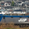 住宅街を行く桃太郎