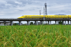 ドクターイエローとの遭遇５４