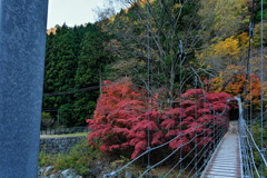 紅葉の福知渓谷にて２