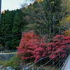 紅葉の福知渓谷にて２
