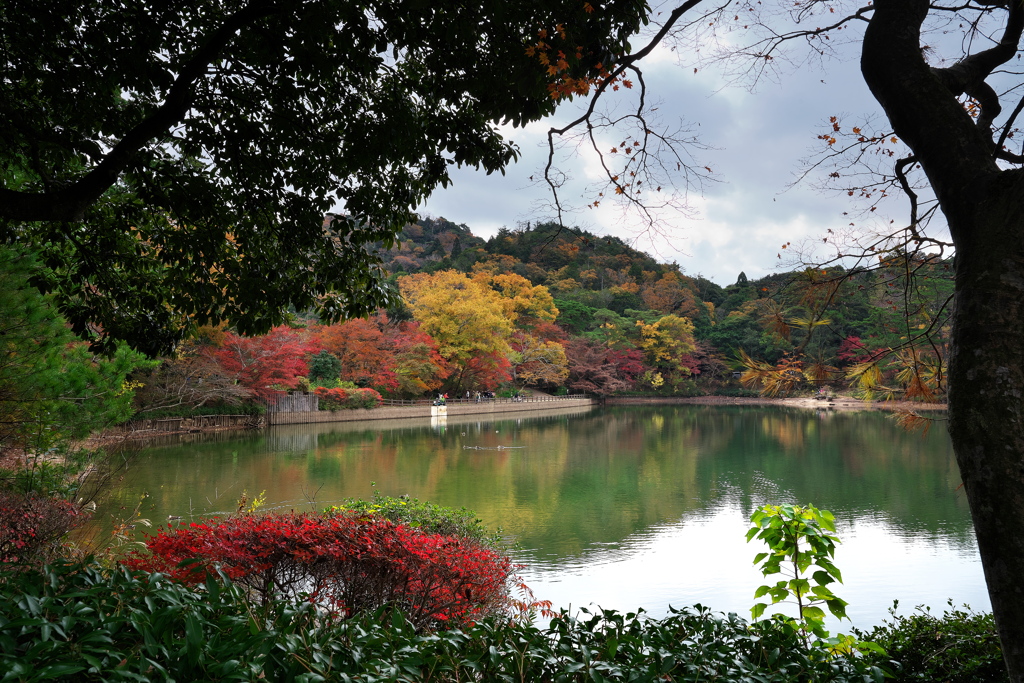 再度（ふたたび）公園の修法ケ原（しおがはら）池２