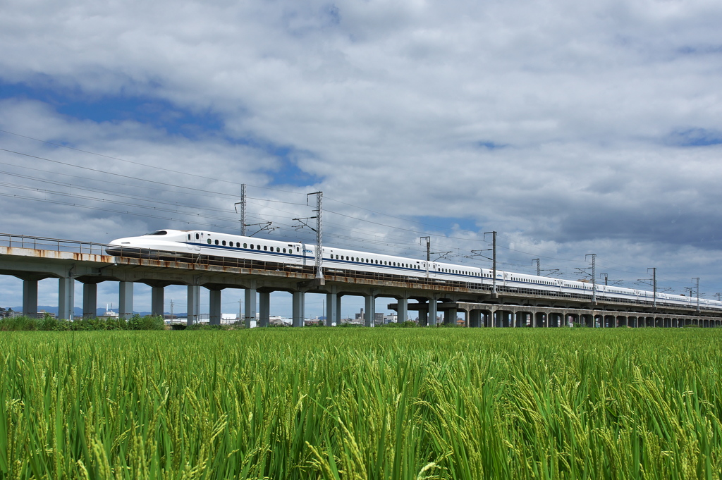 稲穂とＮ７００系