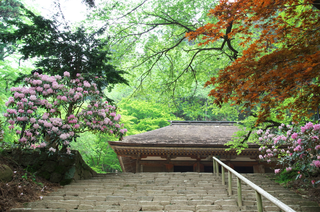 奈良の寺を巡りて１（室生寺）