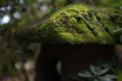 苔むした燈籠