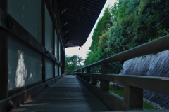 智禅寺（べんざいてん）本堂１