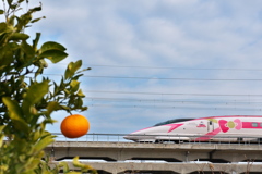 蜜柑とハローキティ新幹線