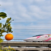蜜柑とハローキティ新幹線