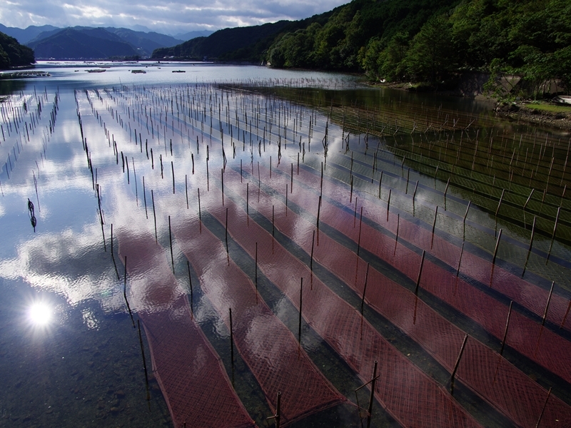 港の風景４（紀伊長島３）