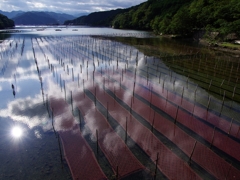 港の風景４（紀伊長島３）