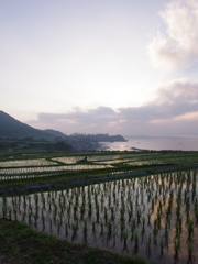 丹後半島の棚田４
