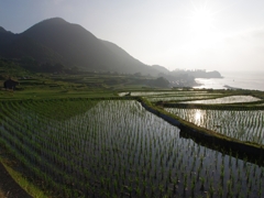 丹後半島の棚田３