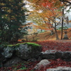 京都南丹龍隠寺（りょうおんじ）の紅葉２