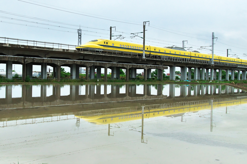 ドクターイエローとの遭遇４１（水田２）